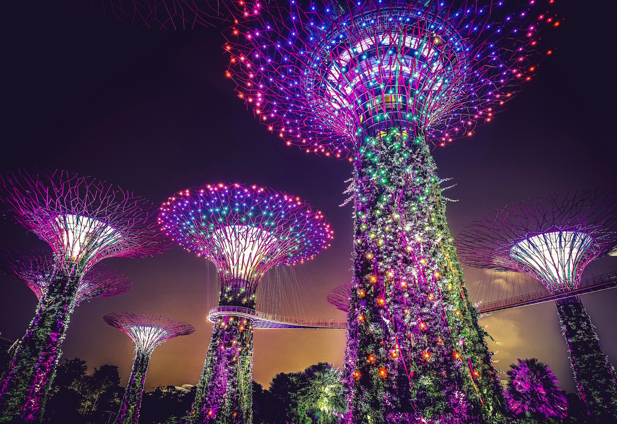 Gardens By The Bay At Night